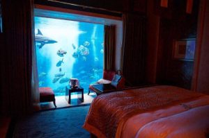 Millennials experiences shareable authentic digital luxe seek jodie