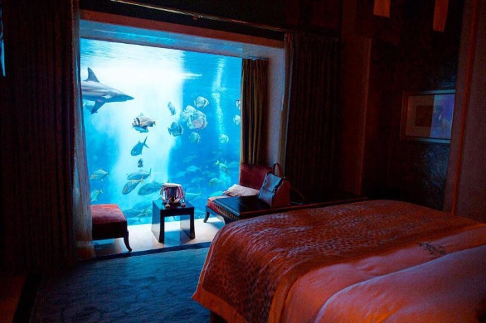 Millennials experiences shareable authentic digital luxe seek jodie